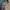 Vintage Y2K Bomber jacket Pria tan photo 2