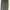 BCBG Max Azria pants photo 4