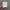 Charger IPhone (USB-C Lightning Cable 2M) photo 1