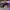 AIR JORDAN 1 HIGH BRED TOE , AIR JORDAN HIGH TOE , AIR JORDA photo 1
