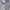 Polo Ralph Lauren Luxury Minimalist Polo shirt Pria gray photo 1