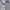 Polo Ralph Lauren Luxury Minimalist Polo Shirt Pria Gray