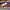 AIR JORDAN 1 LOW CHICAGO RED OFF WHITE , AIR JORDAN 1 LOW CH photo 1