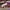 AIR JORDAN 1 LOW CHICAGO RED OFF WHITE , AIR JORDAN 1 LOW CH