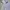 Polo Ralph Lauren Luxury Minimalist Formal Shirt Pria White