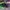 AIR JORDAN 1 HIGH PINE GREEN , AIR JORDAN PINE GREEN , AIR J photo 3
