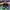 AIR JORDAN 1 HIGH PINE GREEN , AIR JORDAN PINE GREEN , AIR J