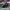 AIR JORDAN 1 HIGH PINE GREEN , AIR JORDAN PINE GREEN , AIR J photo 1