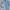 Polo Ralph Lauren Luxury Minimalist Formal shirt Pria blue photo 3