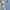 Polo Ralph Lauren Luxury Minimalist Formal Shirt Pria Blue