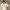 Polo Ralph Lauren Luxury Minimalist Casual shirt Pria white photo 4