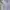 Polo Ralph Lauren Luxury Minimalist Casual shirt Pria white photo 1