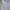 Polo Ralph Lauren Luxury Minimalist Casual Shirt Pria White