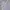 Polo Ralph Lauren Luxury Minimalist Casual shirt Pria white photo 3