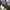 Kaos / T-Shirt Oversize Korea Second Project X Yellow Smilin photo 8
