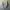 Kaos / T-Shirt Oversize Korea Second Project X Yellow Smilin photo 1