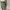 Carhartt Short Cargo Pants Army Green  photo 4