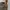 Carhartt Short Cargo Pants Army Green  photo 1