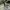 Carhartt Short Cargo Pants Army Green  photo 8