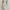 H&M  Bodycon Dress (XS)