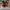 AIR JORDAN 1 HIGH BRED TOE , AIR JORDAN HIGH TOE , AIR JORDA photo 4