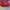 AIR JORDAN 1 HIGH BRED TOE , AIR JORDAN HIGH TOE , AIR JORDA photo 4