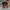 AIR JORDAN 1 HIGH BRED TOE , AIR JORDAN HIGH TOE , AIR JORDA photo 2