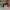 AIR JORDAN 1 HIGH BRED TOE , AIR JORDAN HIGH TOE , AIR JORDA
