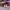 AIR JORDAN 1 HIGH BRED TOE , AIR JORDAN HIGH TOE , AIR JORDA photo 1