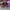 AIR JORDAN 1 HIGH BRED TOE , AIR JORDAN HIGH TOE , AIR JORDA photo 2