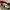 TOPI HAT REALTREE MAX OFFICIAL photo 4