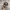 TOPI HAT REALTREE MAX OFFICIAL photo 1