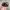 TOPI HAT REALTREE MAX OFFICIAL photo 2