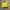 Kate Spade Southport Avenue Allesa Yellow