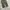 Musinsa standard belted pants  photo 5