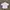 Danton round collar shirt photo 2