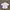 Danton Round Collar Shirt