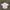 Danton round collar shirt photo 3