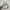 Nike v2k photo 2