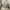 Nike Streetwear Skater Sneakers Pria Green Gray