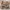 SERBA 45 photo 1