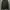FP Longsleeve Taped Tshirt photo 1