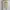 Cotton Linen Tank in Nude Cream photo 1
