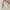Cotton Linen Tank in Nude Cream photo 5