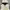 Beaumont Carr Y2K Hoody Pria white cream photo 3