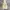 Beaumont Carr Y2K Hoody Pria white cream photo 2