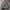 Realtree Jacket Diskon Khusus Malam ini 170ribu photo 2