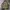 Realtree Jacket Diskon Khusus Malam ini 170ribu photo 1