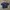 Windbreaker JoeleePro  photo 1