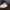 Windbreaker JoeleePro  photo 7